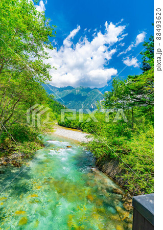 夏の上高地 梓川 【長野県】 夏の上高地 梓川 【長野県】 88493620