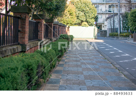 常盤公園横/埼玉県 常盤公園横/埼玉県 88493633