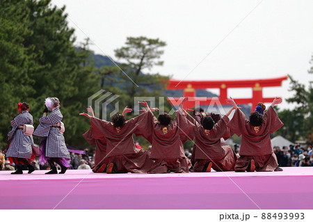 平安神宮　よさこい祭り 88493993