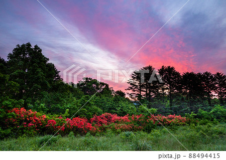 青森県・八甲田】目覚めるグダリ沼 6月 青森県・八甲田】目覚めるグダリ沼 6月 88494415