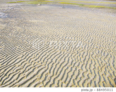 砂浜 ビーチ 景色 88495011
