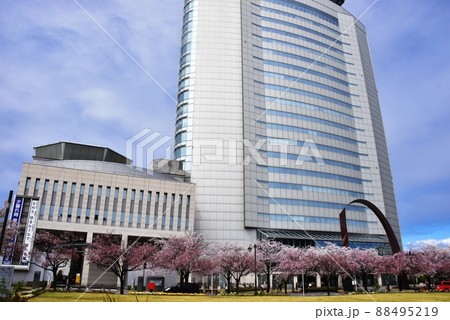 群馬県高崎市　満開桜と高崎市役所 88495219