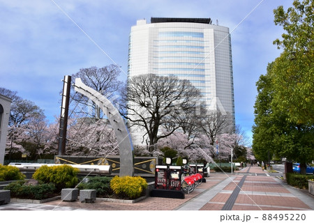 群馬県高崎市　シンフォニーロードと満開桜と高崎市役所 88495220