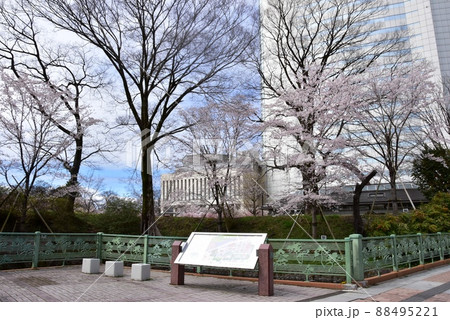 群馬県高崎市　高崎城址公園のお堀沿い満開桜と高崎市役所 88495221