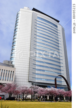 群馬県高崎市 満開桜と高崎市役所 群馬県高崎市 満開桜と高崎市役所 88495223