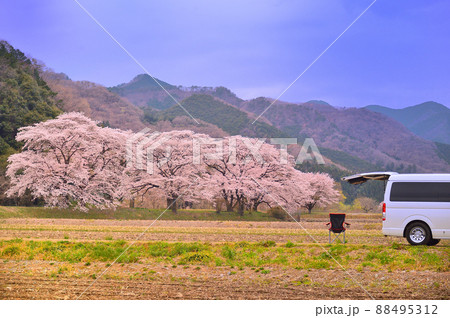 バンライフ　桜　(栃木県) 88495312