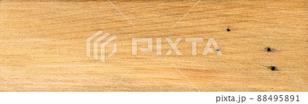 Hornbeam wood, can be used as background, wood grain texture 88495891