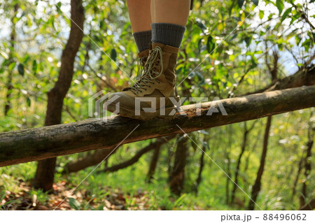 Hiker walking on a fallen tree trunk in forest Hiker walking on a fallen tree trunk in forest 88496062