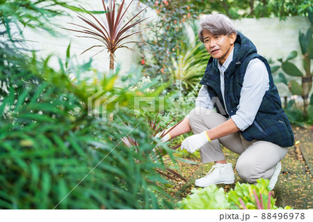 ガーデニング  ミドルの男性 88496978