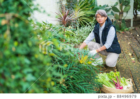 ガーデニング  ミドルの男性 88496979