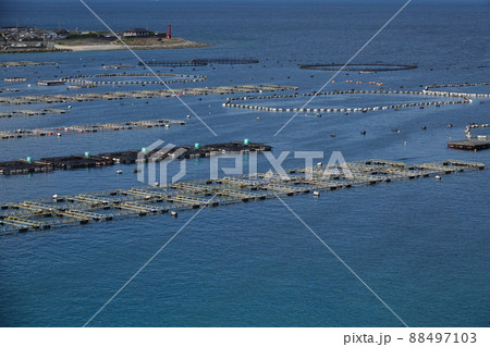 自然豊かな柏島の漁場 88497103