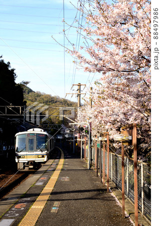 大和路線の春 大和路線の春 88497986