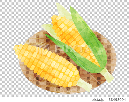 Illustration of corn on a colander processed in watercolor style 88498094