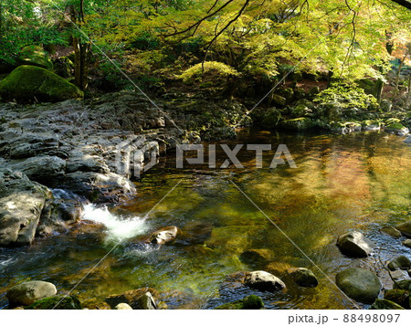 滑床渓谷の渓谷 滑床渓谷の渓谷 88498097