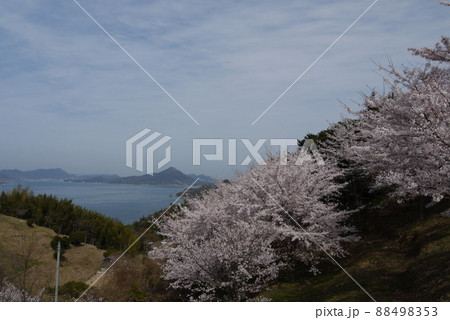 開山公園頂上付近から見た景色 開山公園頂上付近から見た景色 88498353