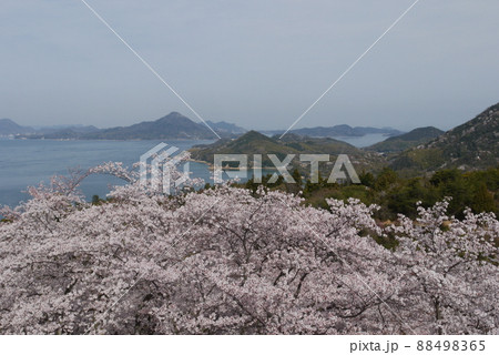 開山公園山頂展望台から見た春の風景 88498365