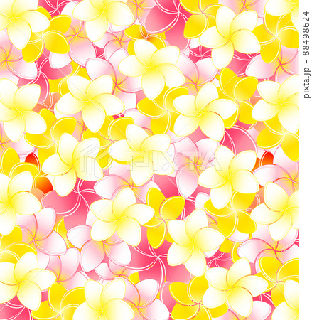 満開のプルメリアの花の華やかな背景イラストのイラスト素材