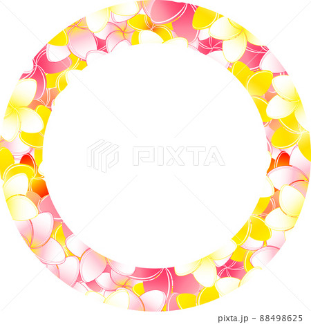 円形のプルメリアの花飾りと白いコピースペースのイラスト 円形のプルメリアの花飾りと白いコピースペースのイラスト 88498625
