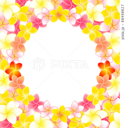 プルメリアの花飾りのゴージャスなスクエアフレームのイラストのイラスト素材