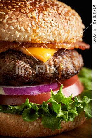 ハンバーガー 88498710