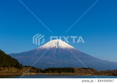 静岡県富士宮市佐折　田貫湖からの富士山風景 88499067
