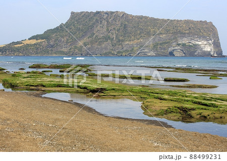 景色 海岸 済州島 88499231