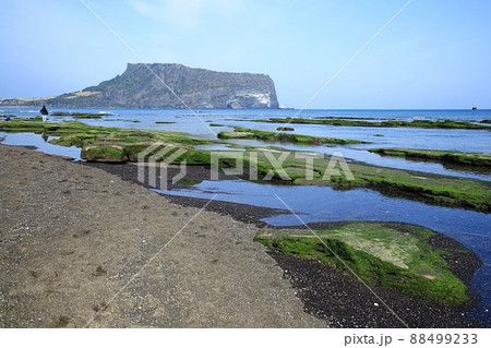 景色 海岸 済州島 88499233