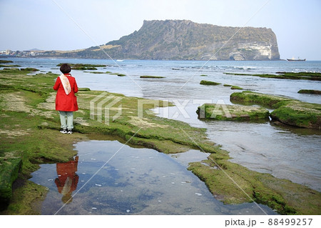 島 海岸 女性 88499257