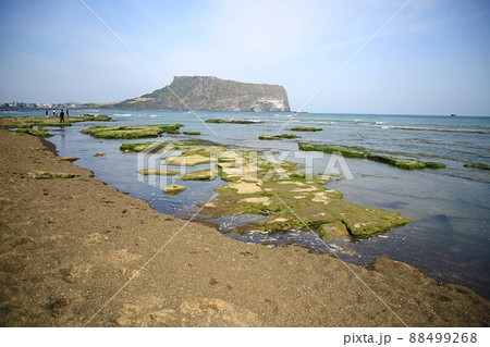 景色 海岸 済州島 88499268