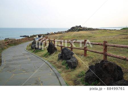 海岸 砂浜 島 88499761