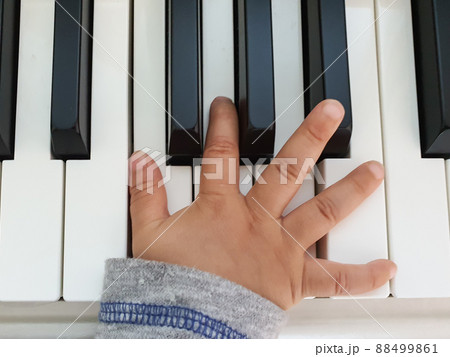 ピアノ 楽器 鍵盤 88499861