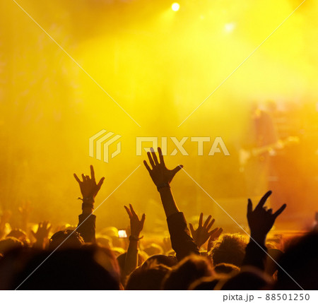 It's all about the fans. Shot of fans enjoying an outdoor music festival. 88501250