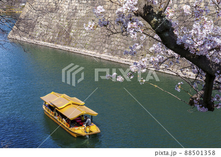 大阪城 大阪城御座船 お堀めぐり 桜が満開の季節 大阪城 大阪城御座船 お堀めぐり 桜が満開の季節 88501358