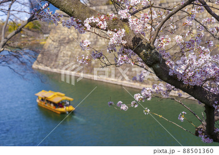 大阪城 大阪城御座船 お堀めぐり 桜が満開の季節 大阪城 大阪城御座船 お堀めぐり 桜が満開の季節 88501360