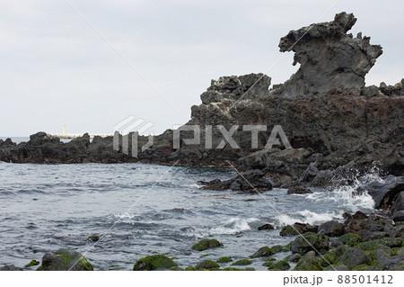 海 海岸 済州島 88501412