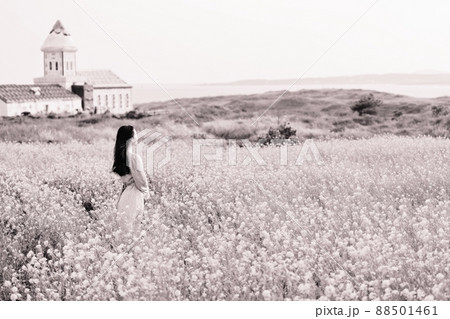 菜の花 女性 女 88501461