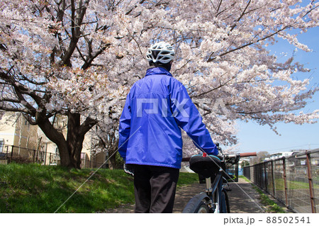 桜の季節に川沿いを歩くサイクリストの男性の後ろ姿(クロスバイク)、東京都武蔵村山市空堀川沿い 桜の季節に川沿いを歩くサイクリストの男性の後ろ姿(クロスバイク)、東京都武蔵村山市空堀川沿い 88502541