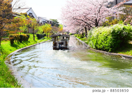 春の京都、南浜疎水を走る屋形船 春の京都、南浜疎水を走る屋形船 88503650