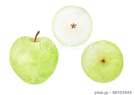 青りんご 88503849