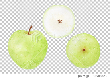 青りんご 88503849