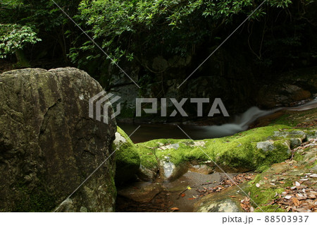 鳥取 四季の散歩 赤波川の甌穴 鳥取 四季の散歩 赤波川の甌穴 88503937