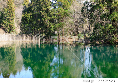 水鳥遊ぶ滝の頭水源池 秋田県 水鳥遊ぶ滝の頭水源池 秋田県 88504523