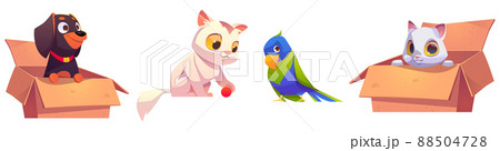 Home pets, cute dog, parrot and cat characters Home pets, cute dog, parrot and cat characters 88504728
