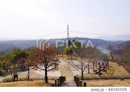 兵庫　川西市　一庫公園（知明山）と一庫ダム（春） 88505509