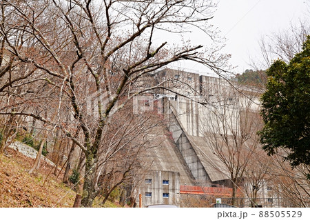 兵庫 川西市 一庫ダムと桜のつぼみ(全景、春) 兵庫 川西市 一庫ダムと桜のつぼみ(全景、春) 88505529