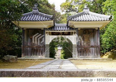 兵庫　川西　満願寺　金剛力士像のある山門（仁王門）（春） 88505544