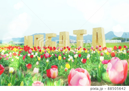 のおがたチューリップフェアの花畑のモニュメント のおがたチューリップフェアの花畑のモニュメント 88505642