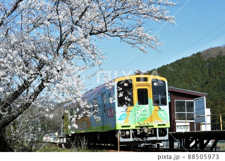 桜咲くローカル線 88505973
