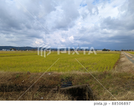 曇り空の田園風景(新潟県) 曇り空の田園風景(新潟県) 88506897
