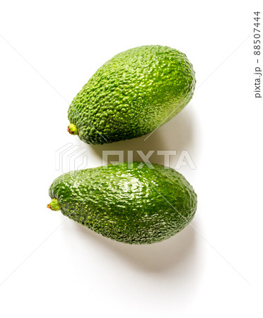 Two avocados isolated on a white background Two avocados isolated on a white background 88507444